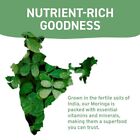 Handpick  Organic Moringa Tea Bags  100 Count  Non-gmo  Caffeine Free  Usda Orga