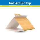 Raid Pantry Flour Indian Meal Moth Trap Sticky Glue Trap   2 Count  12 Pack 