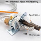 Water Heater Ng Natural Gas Pilot Thermopile Assembly For Ao Smith 100112330
