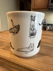 Fishs Eddy Cat Commands Coffee Mug Fun Morning Mug
