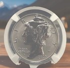 2025 W Bullion  25 Palladium Eagle Ngc Ms-70 Picture Does Nothing For This Beuty