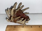 Vintage 1998 Resident Evil 2 William Birkin Head Teeth Toybiz