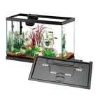  20 Gallon Aquarium Starter Kit With Smartclean Filtration And Led Lighting 