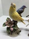 Read  Vintage Lot  6  Bird Figurines - Andrea  Lefton  Gorham  Maruri  Detailed