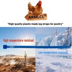 120pcs Chicken Leg Bands-easily Identify Your Poultry With Colorful Leg Bands