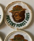Vintage Smokey The Bear Prevent Forest Fires Patch Embroidered Iron On 2    set 4 