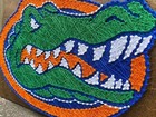 Florida Gators Decor