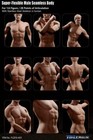 Tbleague Phicen M31 1 6 Seamless Male Muscular Figure Steel Skeleton Body    usa   