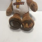 Limited Treasures State Quarters Coin Teddy Bear Vermont