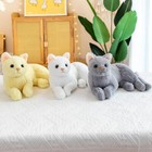 12inch Realistic Cat Stuffed Doll Toy Soft Kitten Plush Animal Toy Throw Pillow 