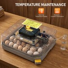 48 Eggs Incubator Automatic Digital Chicken Egg Hatcher Temperature Control
