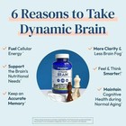 Dynamic Brain Supplement   focus  Memory   Clarity Support 60 Capsules Free Ship