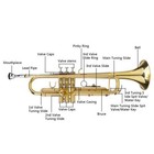 New Beginner Gold Lacquer Brass Bb Trumpet W  Case For Student School Band