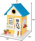 Cartman Hanging Colourful Birdhouse Bird Feeder