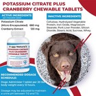 Plus Cranberry Supplement For Dogs 100 Tablets  Urinary Tract Support Helps Det