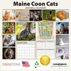 Maine Coon Cats Calendar 2026 - Deluxe 2026 Cat Wall Multicolor 