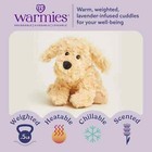 Golden Dog - Warmies Cozy Plush Heatable Lavender Scented Stuffed Animal W  Tags