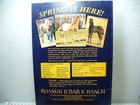Vintage Appaloosa News Magazine Original May 1987