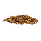 Pennington Select Mealworms  Bluebird And Wild Bird Food  17 6 Oz  1 Pack  Dry