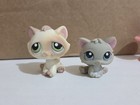 Littlest Pet Shop  197  198 Grey Kitten Blue Eyes   Tan white Cat Authentic