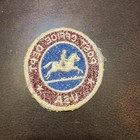 Vintage Obsolete Post Office Mail Service Department Patch