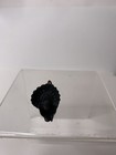 Miniature Turkey Vintage Plastic Dollhouse Diorama Shadow Box Painted 1  X 1 5 