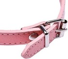 Dog Cat Medium Pet Neck Baby Pink Scarf Bandana Leash Leather Adjustable Belt