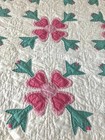 Antique Vintage 1930s Rose Of Sharon Appliqued Quilt  Nile Green Bubblegum Pink