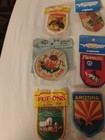 Vintage Lot Souvenir Tourist Travel Us State  Patches Brand New 