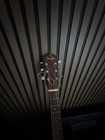 Vintage Fender Gemini Ii Acoustic Guitar