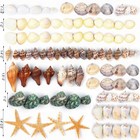 80  Pcs Natural Seashells  Mixed Starfish Sea Shells For Crafts  Various    