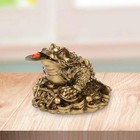 Money Frog Decoration With Lucky Charm Ancient Coin Feng Shui Money Frog Statue
