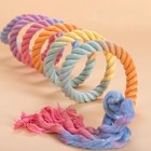 59  Gradient Bird Rope Perch Swing Stand For Parrot  Budgies-cage Toy Accessory
