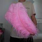 Wholesale 10 50 100pcs Ostrich Feathers 6-28 Inch 15-70cm Wedding Party Decor