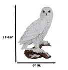 Mystical White Snow Owl Bird Statue 12 25 tall Nocturnal Bird Wildlife Owl Decor