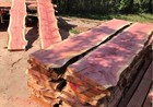 Premium Live Edge Red Cedar Slab - Kiln Dried - Beautiful Grain - Ships Fast