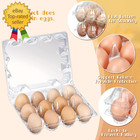 400 Pcs Plastic Egg Cartons Clear Egg Cartons Bulk Blank Tray For Chicken Farm B