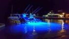 Trinity Boat Transom Blue Led  24000 Total Lumens Underwater Boat Led Light
