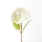 Hydrangea Stems 18   Set Of 6