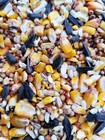 Wild Bird Feed Seed Food Premium Sunflower Corn Cardinal Squirrel Chicken Usa