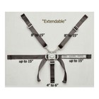 High Chair Straps  Compatible With Graco Highchairs  Replacement Hight   