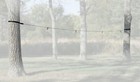 Tough-1 Four Horse No-knot Picket Line Kit