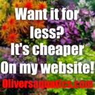 Advanced Aquarium Plant Package - High-tech Live Aquatic Plants For Experienced 