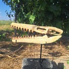 Museum Quality Composite Juvenile Mosasaur Skull Fossil 32 Cm     Authentic Cretac