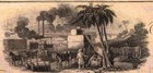 1850s  100 Canal Bank  New Orleans Louisiana Obsolete Note - Pmg 62  Choice Unc 