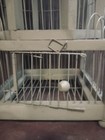 Antique Bird Cage Wood metal Wire Dome Taj Mahal Style Very Beautiful Fine Cage