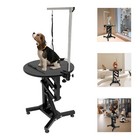 Electric Lift Dog Grooming Table 24  Rotating Desktop With Adjustable Holder New