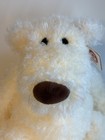 G By Gund Schlepp Cream Scruffy Plush Teddy Bear Stuffed Animal Has Tags Euc