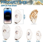 Qicqdram 20pcs Flat Oyster Shells For Crafts 4-5  Large Natural Seashells   Whit