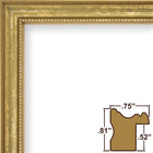 314gd  Ornate Gold Picture Frame  24 X 30 Inch